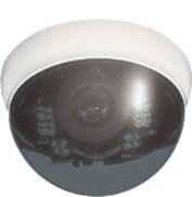 ���C�h�_�C�i�~�b�N�f�C�i�C�g�h�[���J����